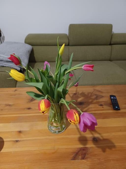 Sehr Zentral Gelegen Apartment Vienna Luaran gambar