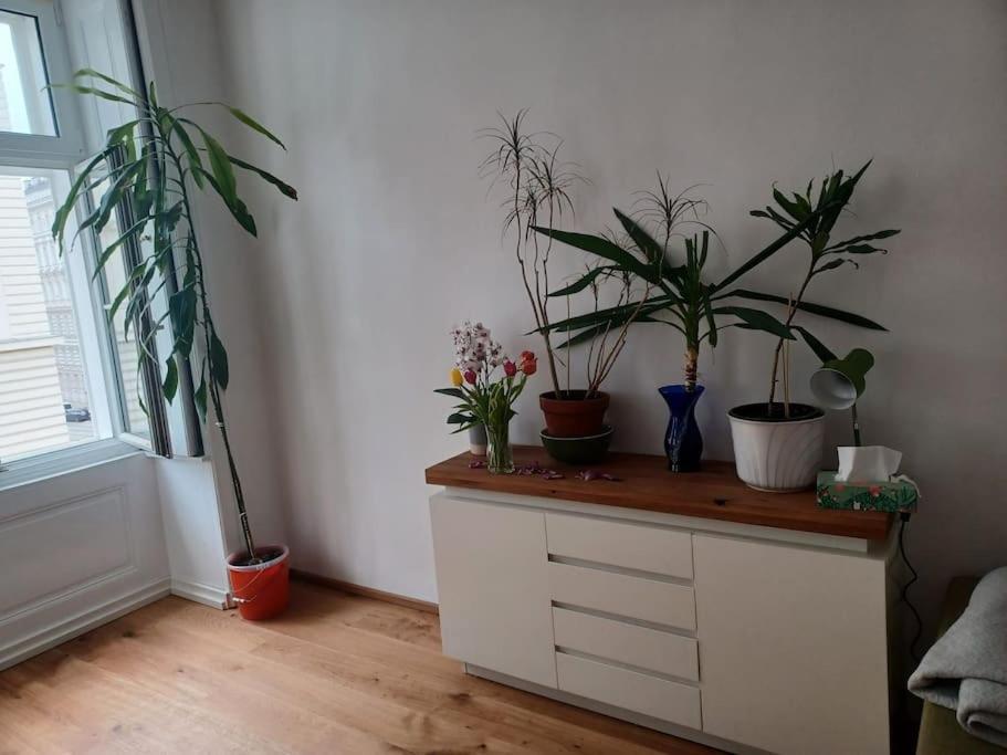 Sehr Zentral Gelegen Apartment Vienna Luaran gambar